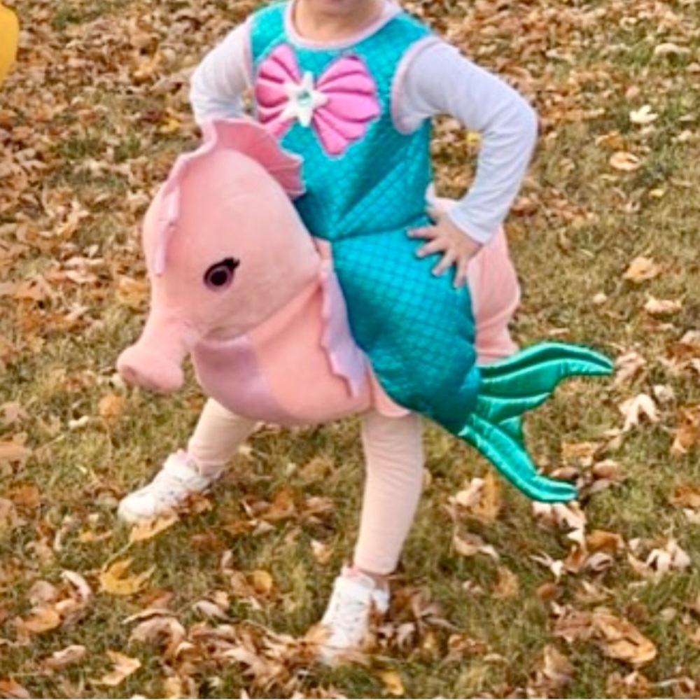 Mermaid Seahorse Ride-On Halloween Costume for Kids
